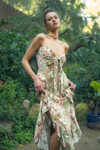 THE DOMINICAN DRESS