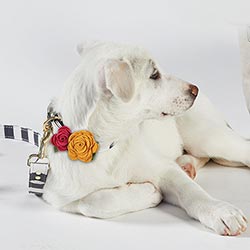 PET FLORAL ADD ON